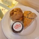 고릴라멀티짐 이미지