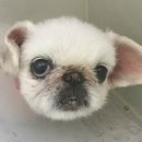 백호동물병원 이미지