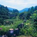 초록세상 이미지