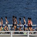 가양초교 정문 앞 이미지