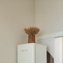 비비체 풀빌라 이미지