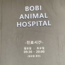 보비동물병원 이미지