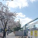 영희초등학교영희문화관 네이버블로그