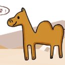 21C안경콘택트프라자 이미지