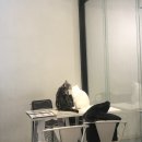 플레이독스 이미지