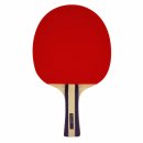 라이프탁구 이미지