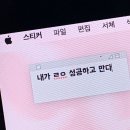 빙고 스테이