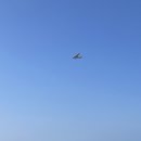 노을숲캠핑장 이미지