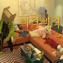 성훈세탁 이미지