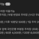 보니보니