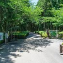 절물자연휴양림 이미지