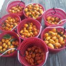 간식꺼리 이미지