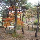 용현자연휴양림 이미지