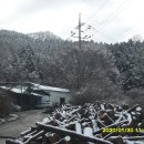 잣나무산장 이미지