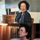 짐나빌레라 이미지