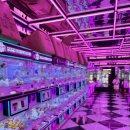 사격 굿 뽑기 이미지