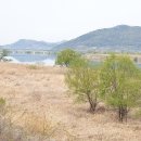 낙동강변27 이미지