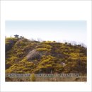 [목요야등]2012년 4월 12일 서울 한강 야경의 최고봉 그리고 노오란 개나리...응봉산 야간산책 이미지