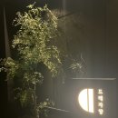 고흥뚝섬한우 | 뚝섬한강공원 근처 숨은맛집|자양동 술집 추천|한식 주점|드레자양 방문 후기