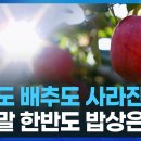 뜨거운 바다 ‘아열대 대한민국/수온 높아진 동해, 해저 산사태 시한폭탄/기후위기, 왜 한국에서 더 커질까? 이미지