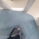 제일세탁 | 여의도 사무실 의자 청소 &amp; 의자 세탁 후기! 내가제일깨끗해