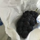 순성농장 이미지