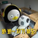 위너스고시텔