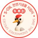동방박사광고기획 | S-OIL 대학생 천연기념물 지킴이단 14기①:서류 및 면접 합격 후기