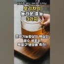 ♡표고 버섯의 효능과 보리차의 효능 ,계란,당뇨에 좋은 음식 3가지. 이미지