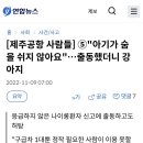 아기가 숨을 쉬지 않아요, 소방관 부른 여자. 이미지