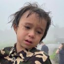 제주도 푸른밤 이미지