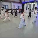 한국체대 영우태권도 이미지