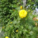 청도자동차공업사 이미지