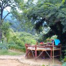 개구리집 이미지