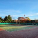 강북테니스장 이미지