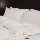 DK세탁 | 크라운구스 DK 구스다운 이불솜 S/SS 800g 실제 사용 후기와 추천 이유