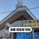도마횟집 본점 이미지