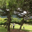 학봉초교병설유치원 이미지