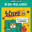 APEC로 | 2026 부산 벡스코 궁디팡팡 캣페스타 박람회 사전예매정보