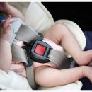 중앙카시트 이미지