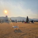 하이, 멍 이미지