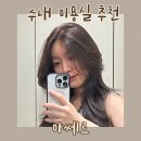 분당 수내 염색 맛집 아쎄르헤어 전체 염색 이서 디자이너 후기