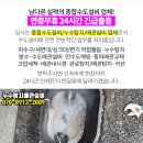 주문진시장약국 이미지
