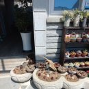 죽녹원5분거리민박