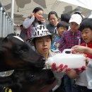 요동목장 이미지