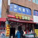 진안도야지 이미지