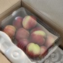 신비복숭아 후기 산지직송으로 받아본 여름 제철과일 추천