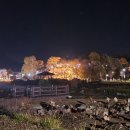 교촌치킨함양점 이미지