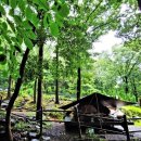 오서산자연휴양림 이미지