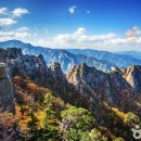 윤현목장 이미지